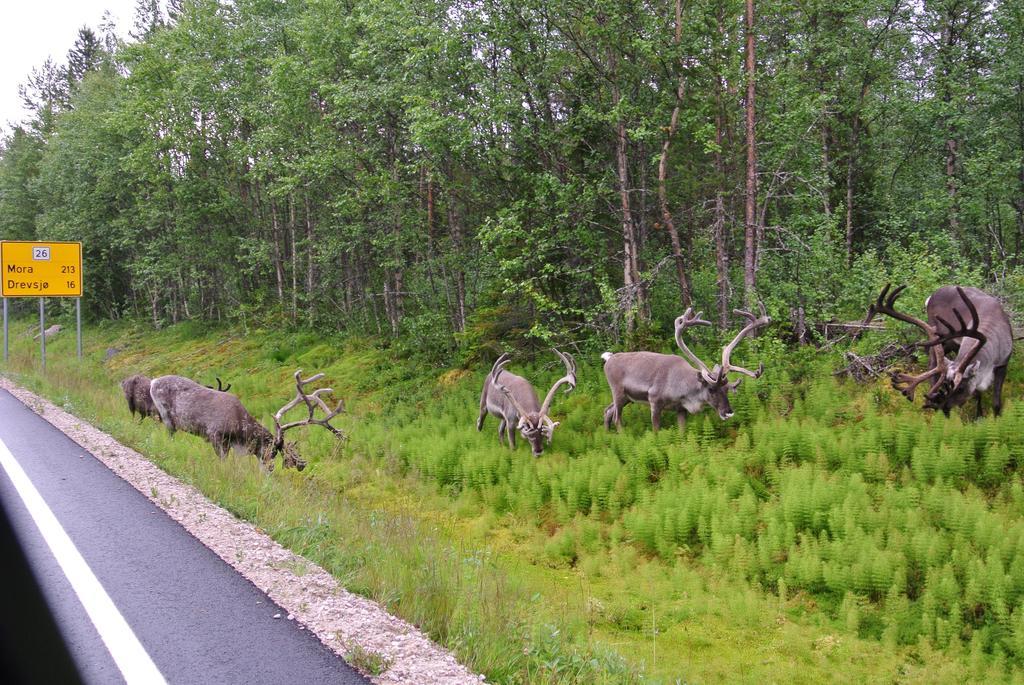Trysil Alpin 16A Top Location Zewnętrze zdjęcie