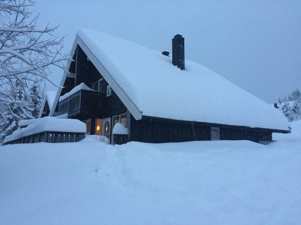 Trysil Alpin 16A Top Location Zewnętrze zdjęcie
